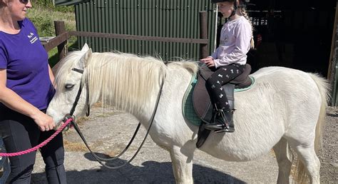 NORTH SANNOX PONY TREKKING (2026) All You Need to Know BEFORE You Go (w ...