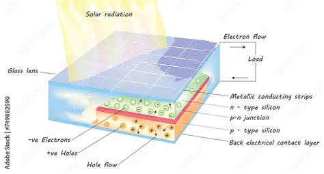 diagram of a solar cell structure (working principle of solar cell) Stock Vector | Adobe Stock
