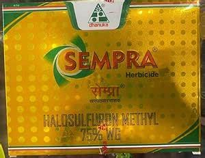 Dhanuka Sempra (Halosulfuron Methyl 75% WG) 36gm : Amazon.in: Garden ...