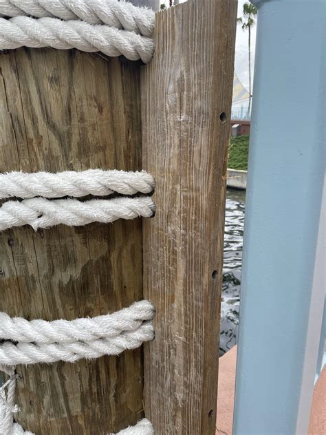 Levi wand beach flow by the Mediterranean ☀️🌊 : r/flowarts