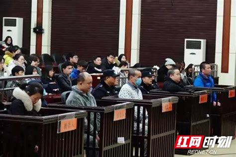 《红网》：湘潭中院公开开庭审理一起走私、贩卖、运输、制造毒品案件-湖南省湘潭市中级人民法院