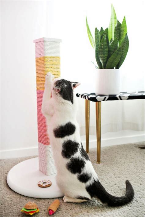Image result for Cat Scratching Post