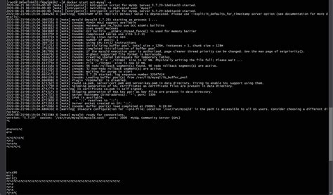 Image result for MySQL Exit Command Line