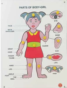 FireFlies Wooden Parts of Body Puzzle for Kids (Girl & Boys) - Wooden ...