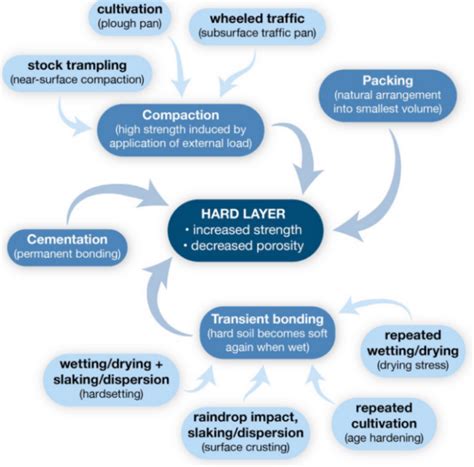 Image result for Natural Compaction