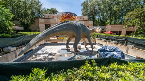 Refurbishment Underway on DINOSAUR Reflecting Pool at Animal Kingdom