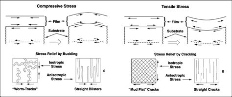 Image result for Linear Encoder Structure