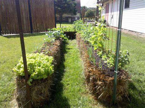 Hay Bale Raised Garden Beds at Jorja Helms blog