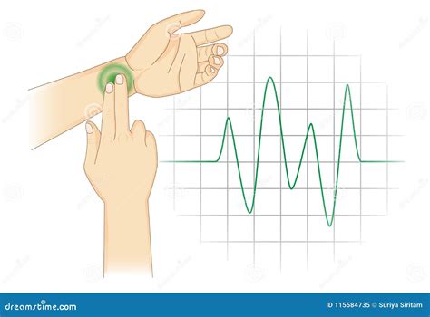 Checking Your Heart Rate Manually With Place Two Fingers At Wrist ...