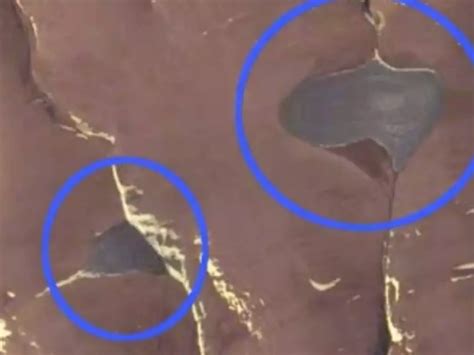 Global Warming Causes Two Ice Caps To Completely Vanish In The Canadian ...