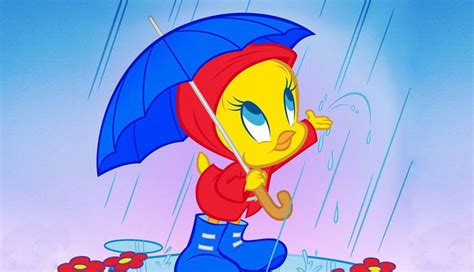 [100+] Tweety Bird Wallpapers | Wallpapers.com
