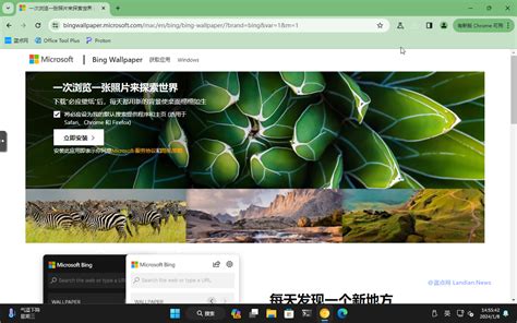 必应浏览器 的图像结果