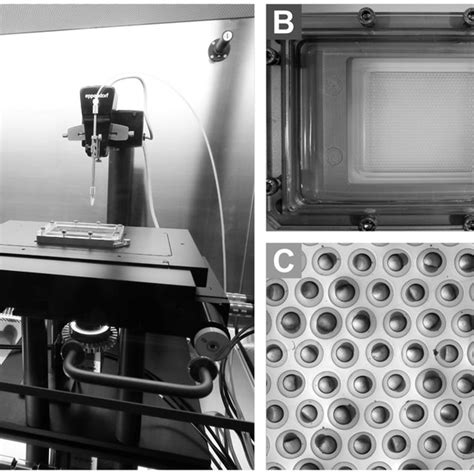 Image result for Automatic Injection