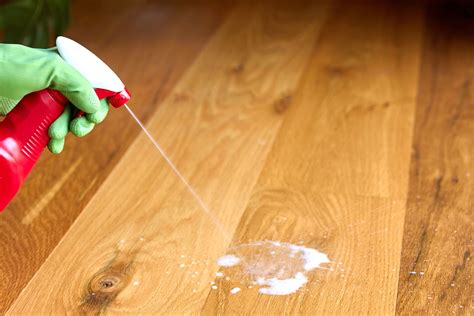 Perfect Baking Soda Cat Urine Wood Floor That Inspire