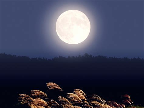 2018年中秋の名月はいつ？十五夜や十三夜との関係は？月見団子やすすきを供える理由は何？