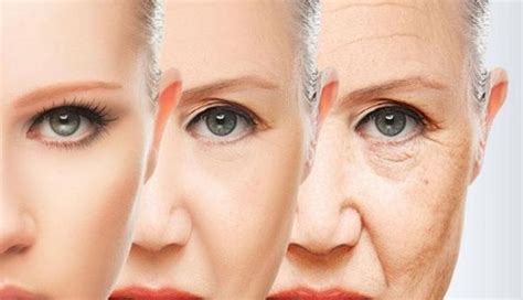 女人若不想老太快，尽量做到2少1多，有助保养身材、延缓衰老_身体_时候_百合