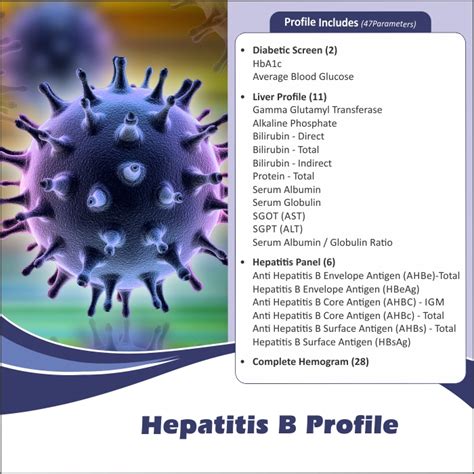 Thyrocare Hepatitis B Profile in Bangalore @ Rs 2903