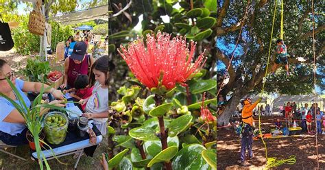 21st Annual Arbor Day Garden Expo & Tree Giveaway, 150 Kanaloa Ave ...