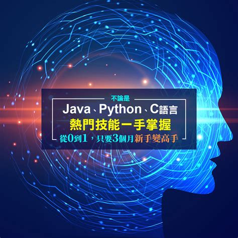 Python C# Java 的图像结果