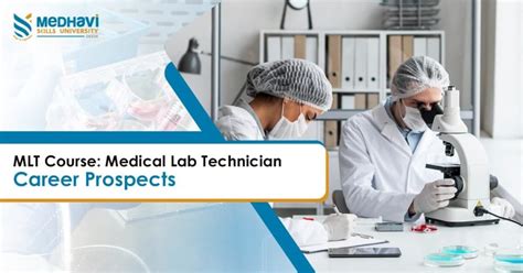 Image result for Lab MLT