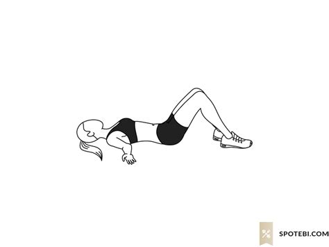 Bridge Exercise 的图像结果