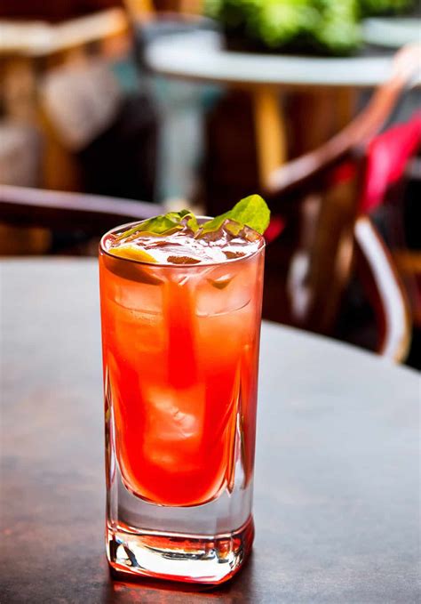 Cranberry Ginger Ale - HowdyKitchen