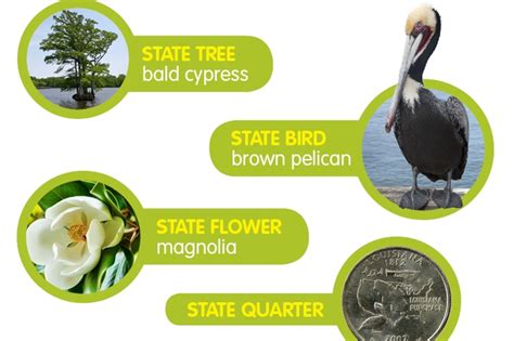 Louisiana Fun Facts For Preschoolers at Jack Black blog