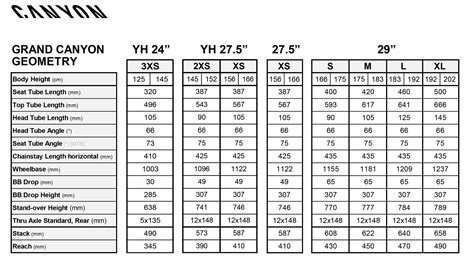 Grand Canyon Reboots a More Capable, Still Affordable Alloy MTB ...