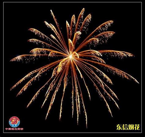 Image result for Display Shell Fireworks