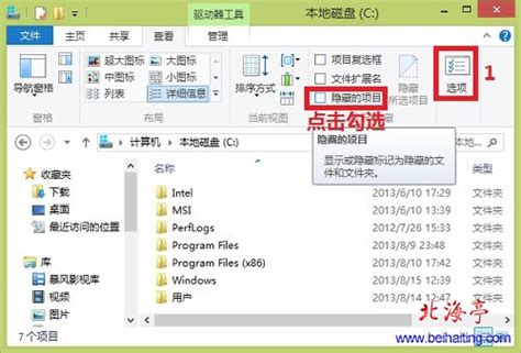 桌面隐藏的文件夹怎么找出来（Win11查看隐藏文件和文件夹） | 说明书网