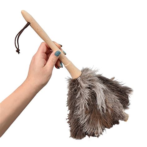 Home-X Ostrich Feather Duster, Wood Handle Duster : Amazon.in: Home ...