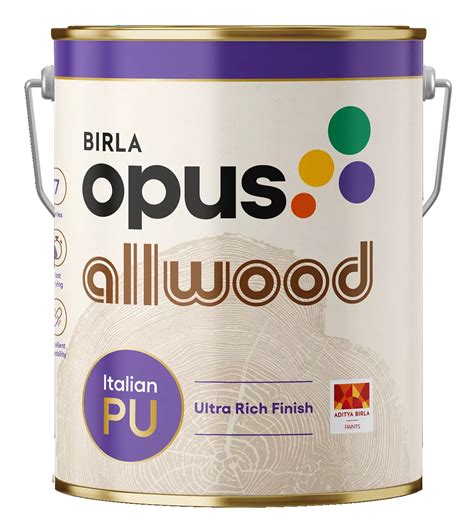 What is Enamel Paint? A Comprehensive Guide: Birla Opus
