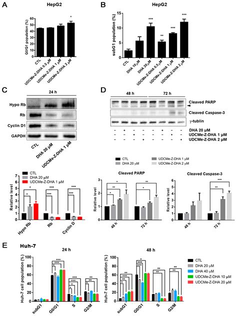 Anticancer Activity and Molecular Mechanisms of an Ursodeoxycholic Acid Methyl Ester ...