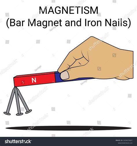 6 Bar Magnet Attracting Nails Images, Stock Photos & Vectors | Shutterstock