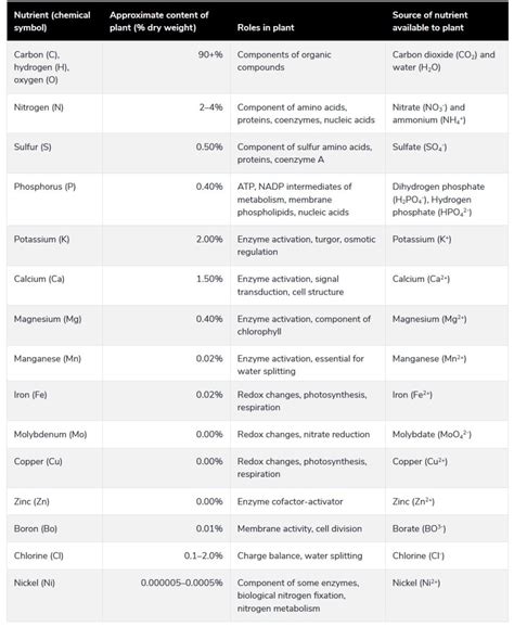 Essential Nutrients for Plants