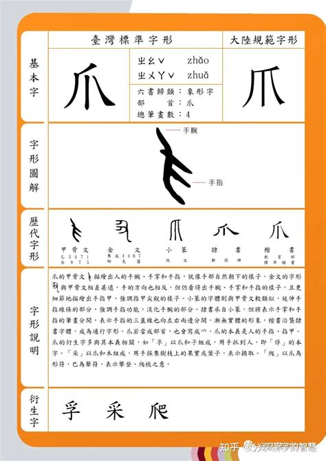 #分享漢字的智慧#之“爪”字。《说文解字》爪：丮也。覆手曰爪。象形。凡爪之屬皆从爪。 - 知乎