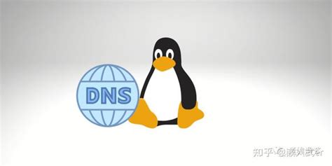 如何刷新 DNS 【百科全说】
