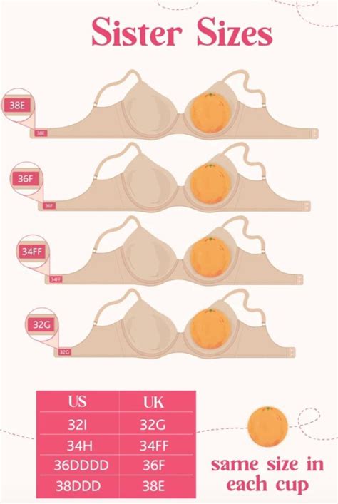 Cup Size Examples 的图像结果