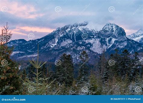 Image result for Wave Function Collapse Algorithm Plant