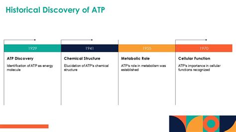Rezultat imagine pentru ATP Process