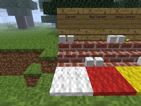 Kuvatulokset haulle carpet minecraft
