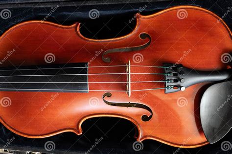 Image result for Viola String Instrument