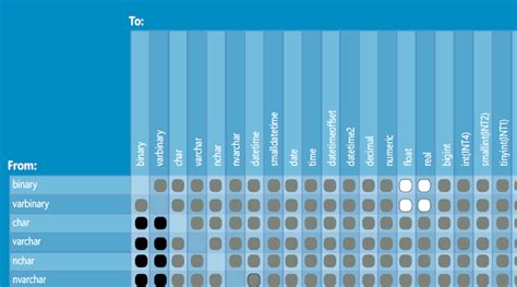 Data Type Conversion in SQL Server 的图像结果