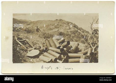 Image result for Examination of Empty Shell