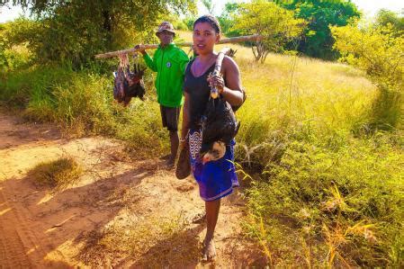 Madagascar, la isla inaudita