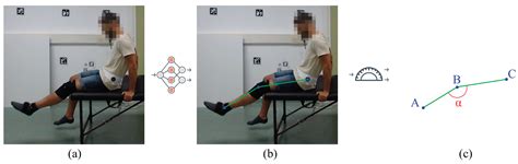 UCO Physical Rehabilitation: New Dataset and Study of Human Pose ...