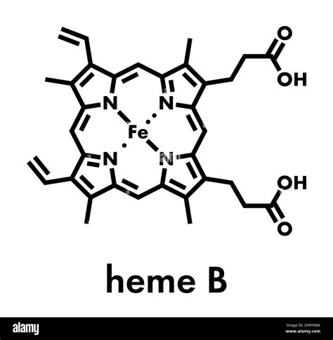 Catalase Structure