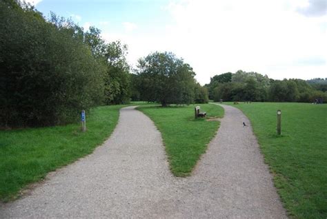 Image result for Parallel Paths