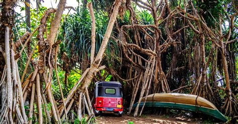 Cheap Flight Tickets from New Delhi to Sri Lanka from ₹ 9,488 - KAYAK