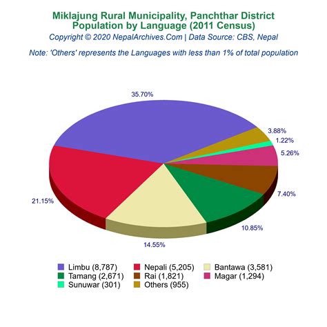 What Languages Are Spoken in the Dominican Republic: A Comprehensive Guide